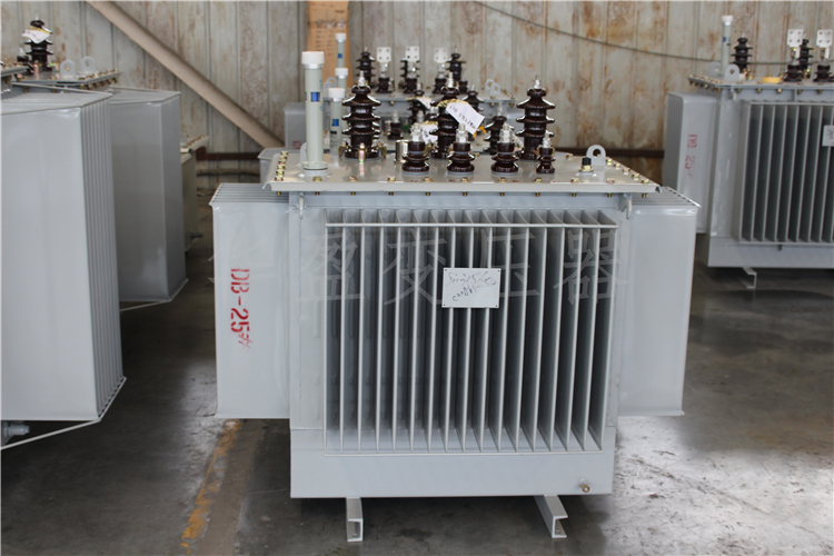 九江S20-800kVA/10kV/0.4kV变压器